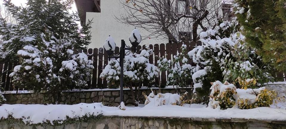 Guest House Ela Bansko Extérieur photo